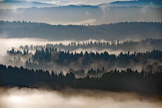 Poranne mgły © piotrwolak