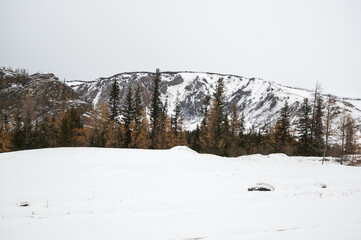 View of Ulagan Highlands
