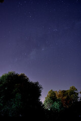 Fototapeta na wymiar Milky Way's center above the trees