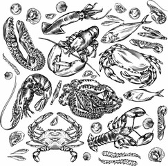 Illustration of different seafood.