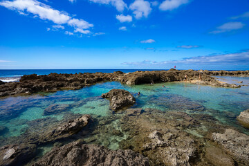 シャークスコーブ