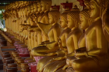 Fototapeta premium Buddha statues in Thai temples