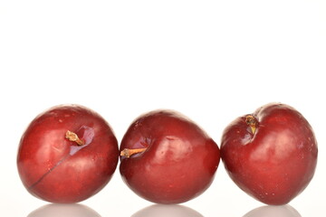 Fresh ripe, organic red plum, close-up, on a white background.