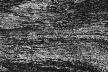 Obraz premium Natural wood texture background monochrome