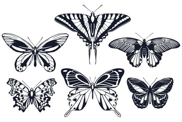 Set of butterflies icons with patterns on the wings. Vector illustration