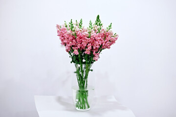 Bouquet of pink flowers in vase on white background 