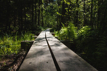 Holzbohlenweg durch einen Nationalpark in Estland