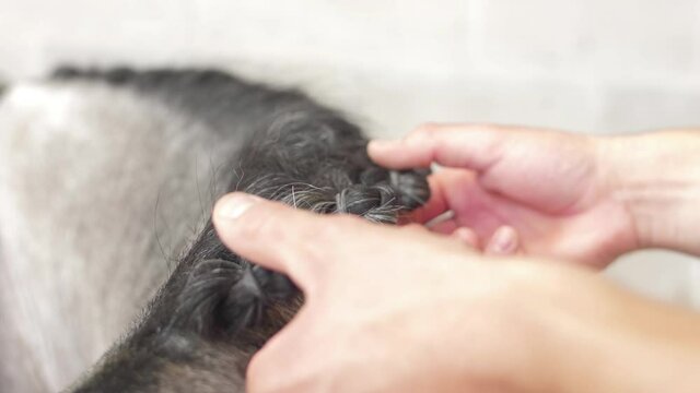 doing rubber band plaits braid on horse slow motion