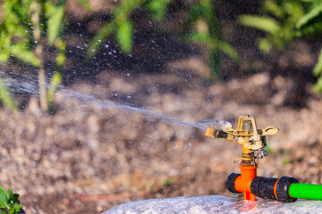 Naklejka premium Automatic Garden Lawn sprinkler in action watering grass. Green Nature Background concept