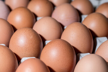Closeup de huevos colocados en una huevera. 