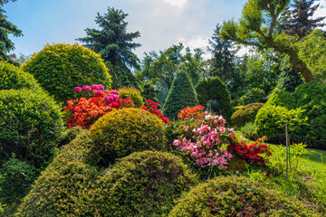 beautiful summer garden concept, green conifer trees, green grass and afternoon sun. Luxury gardening concept with flowers