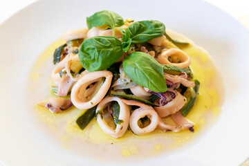 Squid and courgettes cooked in white. Squid and zucchini ready to eat. Squid cut into circles and cooked in a pan with courgettes, with olive oil and basil. Italian cuisine