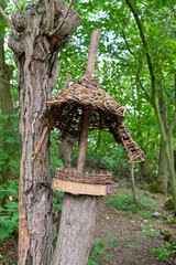 bird house in the woods