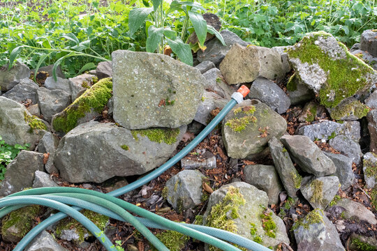hosepipe ban imaging of watering the garden 
