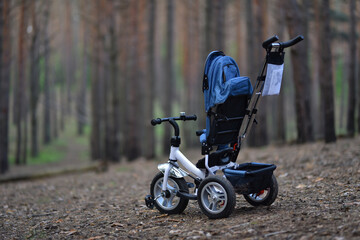 children's tricycle with pedals in a pine forest