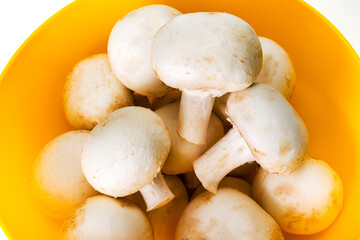 Raw, fresh, delicious porcini mushrooms lie in a yellow plate on a white table.