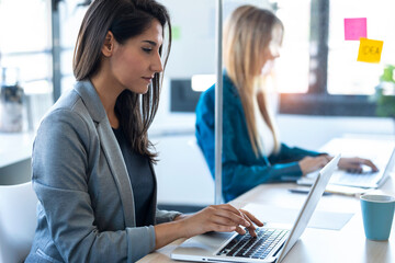 Two business women work with laptops on the partitioned desk in the coworking space. Concept of...