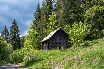 Wooden abandoned hut cabin and well in the forest of the northern Velebit Mountain in Croatia