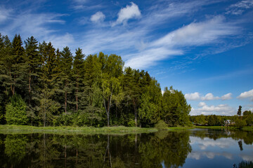 Fototapeta na wymiar Lake in the forest with the blue sky
