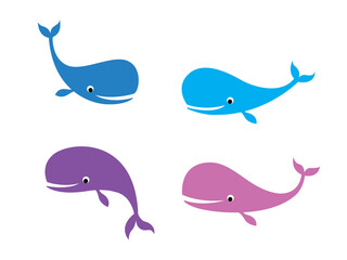 beautiful whale vector collection