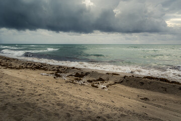 Fine sand seashore covered with dead algae. Atlantic Ocean waves hitting beach, Miami Beach, Florida. Stormy clouds on the sky. Wide shot