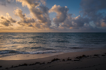 Obraz premium Waves gently hitting fine sand shore. Beach covered with dead algae. Low angle, wide shot. Amazing colorful sunrise over Atlantic Ocean, Miami Beach, Florida