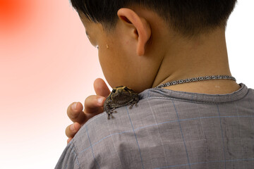 closed up view of  frog on shoulder of sweaty boy who was gently touching on it  , isolated , clipping path