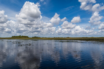 Reflection of clouds in calm water. Wetlands in Florida. Everglades national park. Airboat tourist attraction. Wide shot