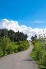 Village houses on hills with green meadows in summer day.artvin/turkey