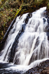 Fototapeta na wymiar Waterfall in Pacific Northwest, Washington state