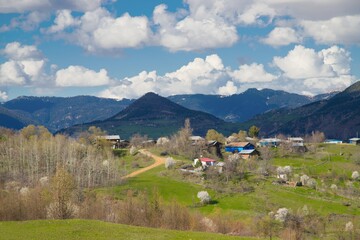Village houses on hills with green meadows in summer day.artvin/turkey