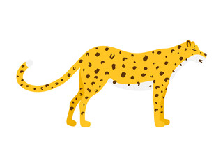 Leopard cartoon vector. Wild animal print illustration isolated on white