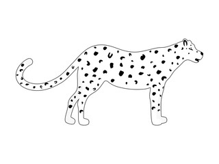 Leopard black and white vector. Wild animal print illustration isolated on white background