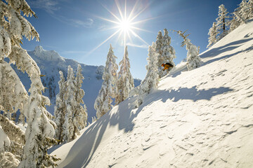 Skiing fresh snow in sunshine