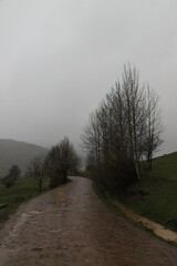 Village houses on hills with green meadows in summer day.artvin/turkey