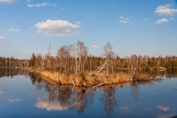 Hundsee im Pfrungener Ried