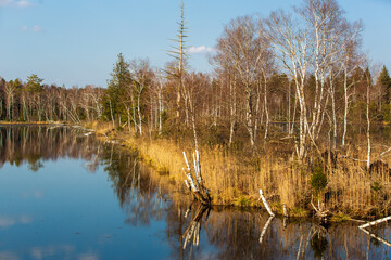 Hundsee im Pfrungener Ried