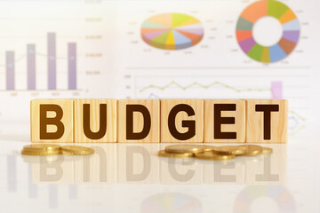 Budget the word on wooden cubes, cubes stand on a reflective surface, in the background is a business diagram.