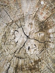 old wood texture