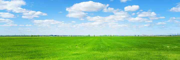 Green field and city on the horizon at sunny day panoramic wide angle view - Powered by Adobe