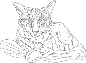 sketch of a cat vector