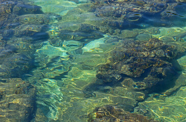 Natural background with rocky seabed under clear turquoise water