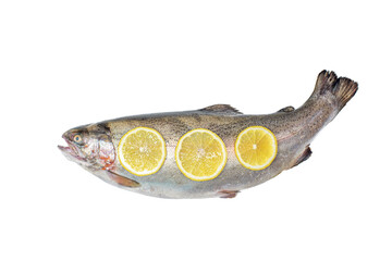 the whole big a salmon fish isolated on a white background