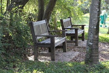 bench in the park