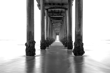 La plage de La Jolla, Californie, longue exposition sous la jetée, image en noir et blanc.