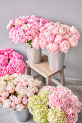 vases with peonies for Flowers delivery. Pink Angel Cheeks peonies in a metal vase. Beautiful peony flower for catalog or online store. Floral shop concept .
