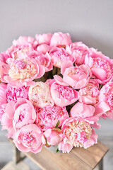 Pink Angel Cheeks peonies in a metal vase. Beautiful peony flower for catalog or online store. Floral shop concept . Beautiful fresh cut bouquet. Flowers delivery