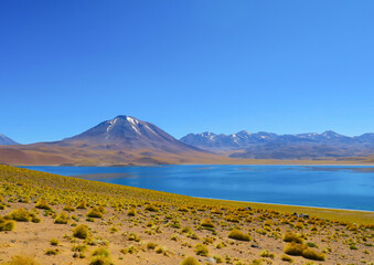 Lagunas Altiplánicas, Atacama Desert, Chile