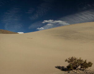 Sand dune in the arid desert