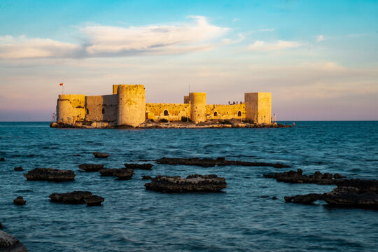 รูปภาพCorycus เลือกดูภาพถ่ายสต็อก เวกเตอร์ และวิดีโอ1,208 Adobe Stock